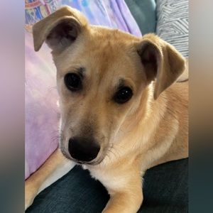 Scarlett wants you to make an offer!!